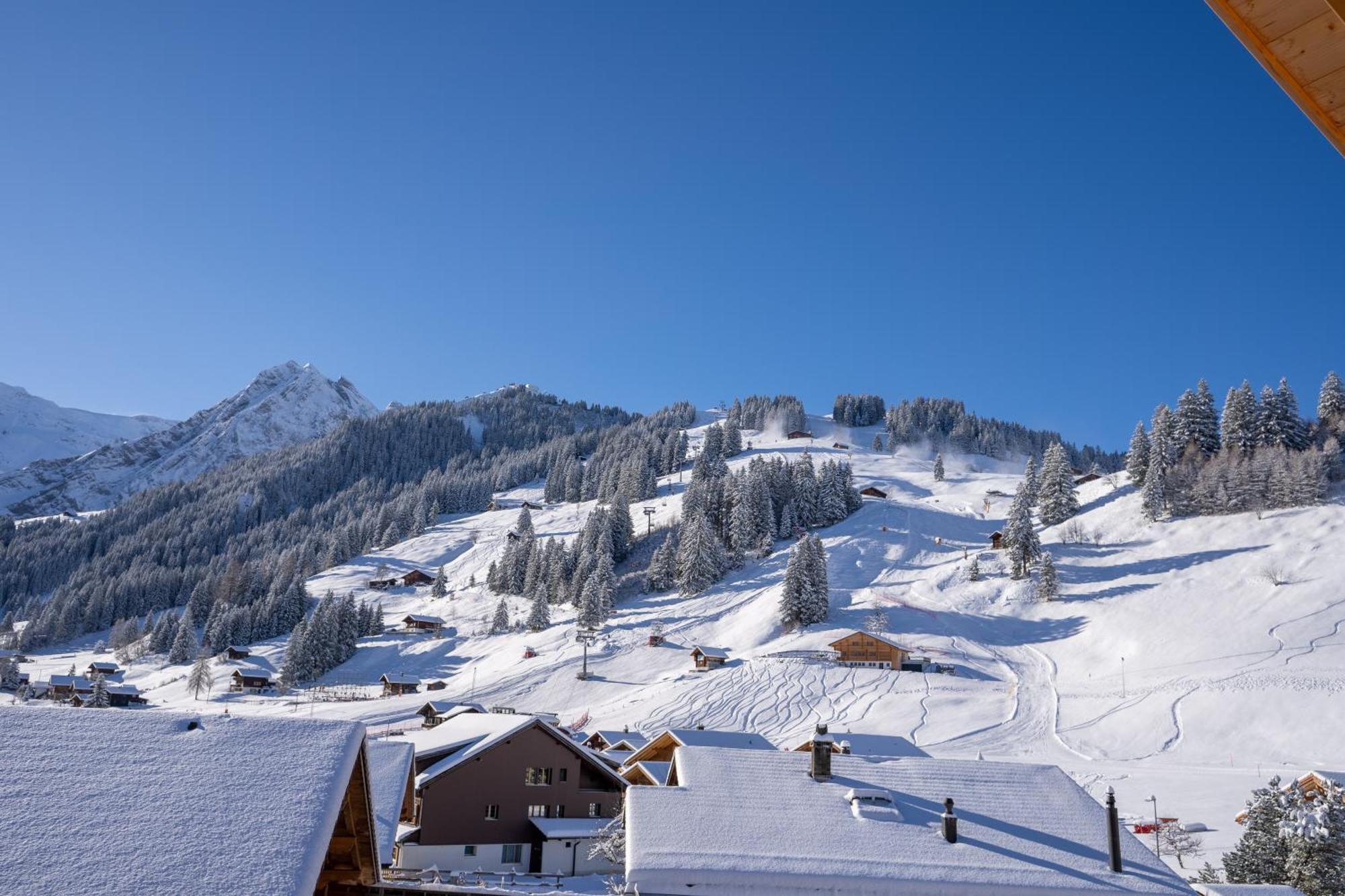 Chuenislodge2- Zwei Balkone, Gemuetlicher Kamin, Top Aussicht Adelboden Ngoại thất bức ảnh